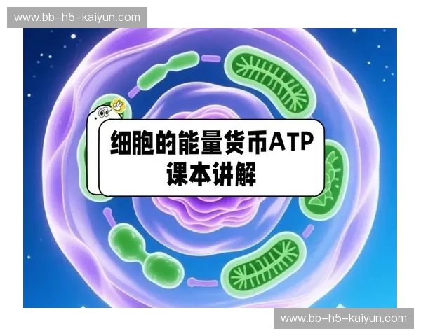 ATP：细胞的能量货币，唤醒生活每一刻的活力密码