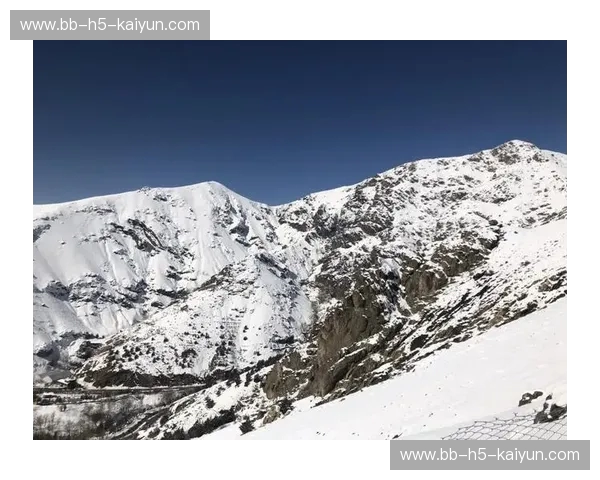 绿洲之心的紫金梦幻与雪山下的沸腾灵魂：艾因vs德黑兰的终极博弈