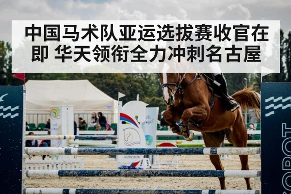 中国马术队亚运选拔赛收官在即 华天领衔全力冲刺名古屋