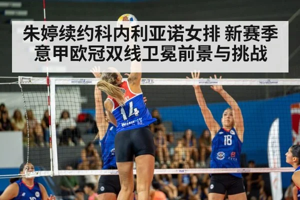 朱婷续约科内利亚诺女排 新赛季意甲欧冠双线卫冕前景与挑战